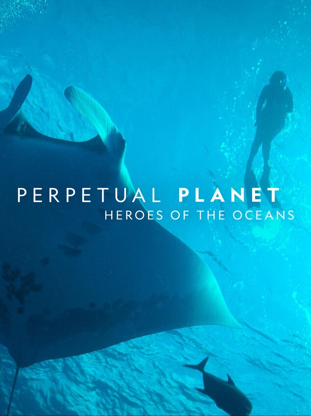 悠悠MP4_MP4电影下载_碧海英雄 Perpetual.Planet.Heroes.Of.The.Oceans.2021.1080p.WEB.H264-CBFM 3.13 GB